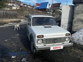 2000 Lada (ВАЗ) 2121 (4x4) I Рестайлинг, белый, 300000 рублей, вид 2