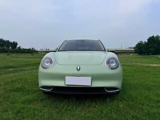 2023 Ora Good Cat 46 kWh I, зелёный, 1515000 рублей, вид 2
