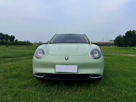 2023 Ora Good Cat 46 kWh I, зелёный, 1515000 рублей, вид 2