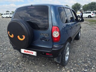 2008 Chevrolet Niva I, серый, 358000 рублей, вид 5