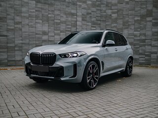 2023 BMW X5 30d IV (G05/G18) Рестайлинг, серый, 8800000 рублей, вид 5