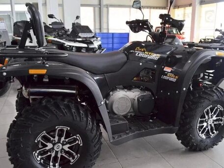 2026 Stels ATV-650YS Leopard, чёрный, 545400 рублей, вид 3