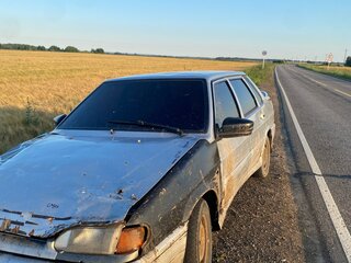 2004 Lada (ВАЗ) 2115, серый, 30000 рублей, вид 1