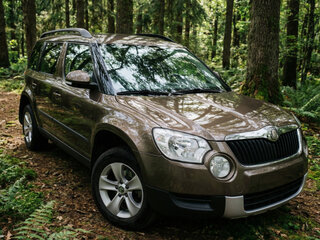 2012 Skoda Yeti I, коричневый, 700000 рублей, вид 1