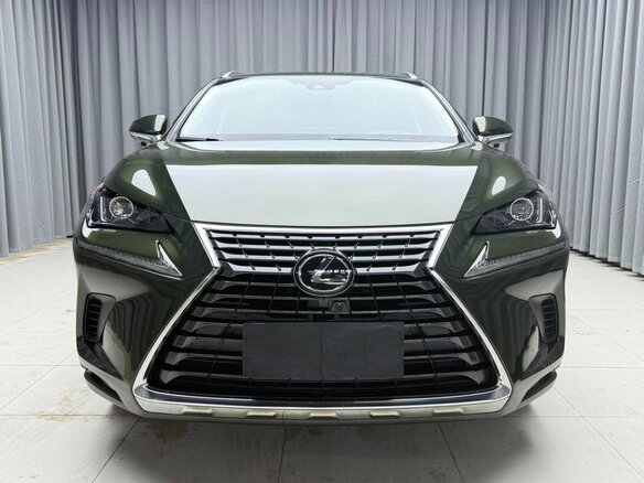 2020 Lexus NX 200 I Рестайлинг, зелёный, 2890000 рублей - вид 1