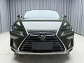 2020 Lexus NX 200 I Рестайлинг, зелёный, 2890000 рублей - вид 1