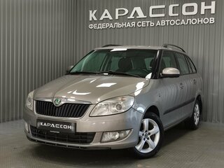 2010 Skoda Fabia II Рестайлинг, серый, 540000 рублей, вид 1