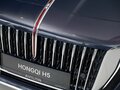 2024 Hongqi H5 II, коричневый, 4367645 рублей - вид 8