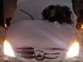2007 Mercedes-Benz Sprinter, белый, 1099000 рублей