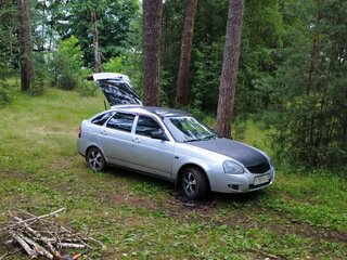 2008 Lada (ВАЗ) Priora I, серебристый, 250000 рублей, вид 1