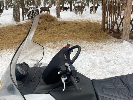 2014 Yamaha VK Professional, серебристый, 1300000 рублей, вид 2