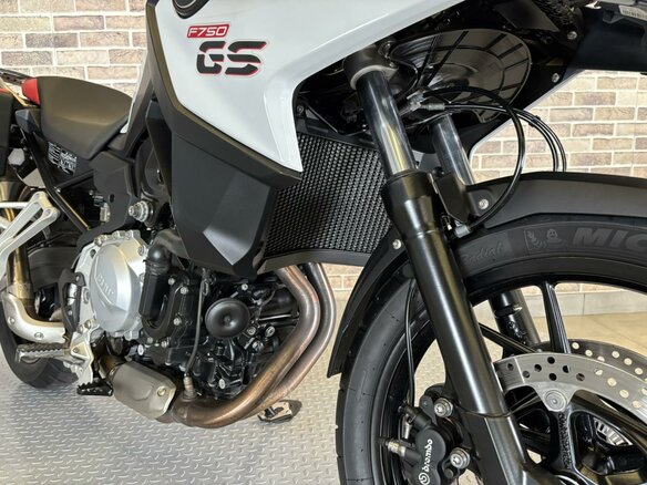 2019 BMW F 750 GS, белый, 888000 рублей - вид 5