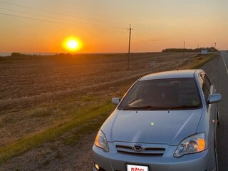 2002 Toyota Corolla Runx IX (E120, E130), серебристый, 400000 рублей, вид 3