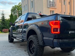 2019 Ford F-150 XIII Рестайлинг, синий, 5500000 рублей, вид 5