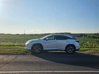 2020 Lexus RX 300 IV Рестайлинг, белый, 5350000 рублей, вид 4