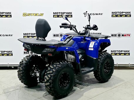 2025 Bison 250U, синий, 309900 рублей, вид 5
