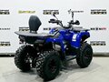 2025 Bison 250U, синий - вид 4