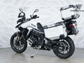 2024 Triumph Tiger 900, белый, 1299000 рублей - вид 7