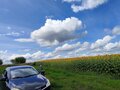 2013 Chery Bonus (A13), чёрный, 245000 рублей - вид 9