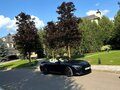 2020 BMW M8 Competition I (F91/F92/F93), синий, 13000000 рублей - вид 5