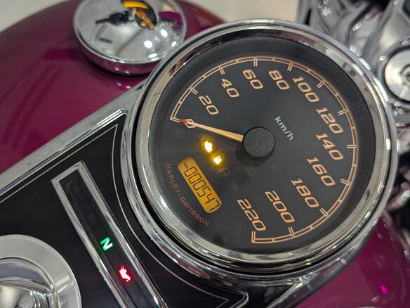 2023 Harley-Davidson Electra Glide, розовый, 3780000 рублей - вид 10