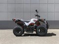 2026 Kayo AU150, белый, 147900 рублей - вид 1