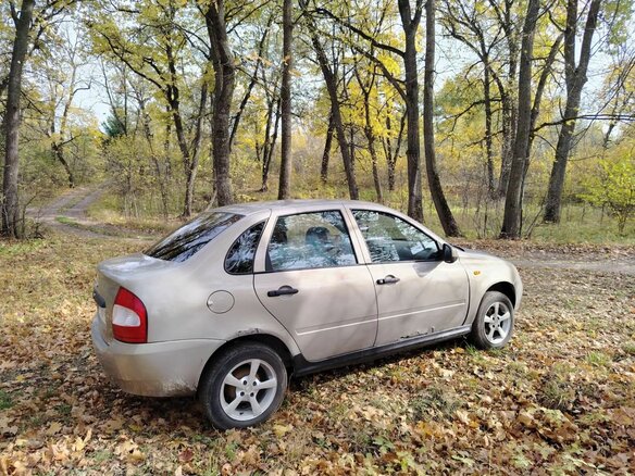 2005 Lada (ВАЗ) Kalina I, серый, 110000 рублей - вид 3