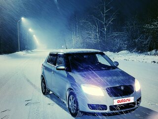 2008 Skoda Fabia II, серебристый, 262000 рублей, вид 1