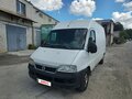 2008 Fiat Professional Ducato, белый, 450000 рублей