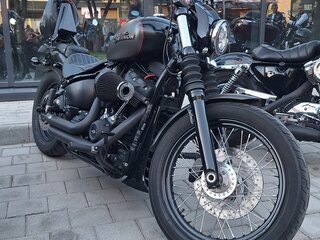 2018 Harley-Davidson Softail Standard, серый, 1017226 рублей, вид 1