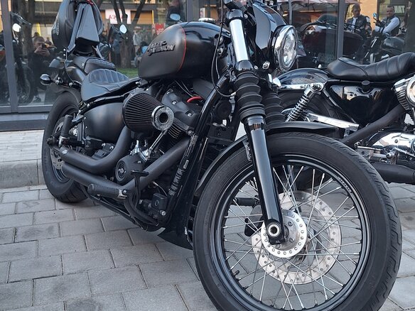 2018 Harley-Davidson Softail Standard, серый, 1016466 рублей