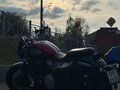 2024 Benda Chinchilla 300, красный, 360000 рублей - вид 6