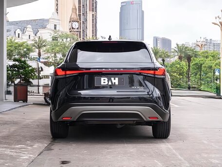 2025 Lexus RX 300 V, чёрный, 6700099 рублей, вид 3