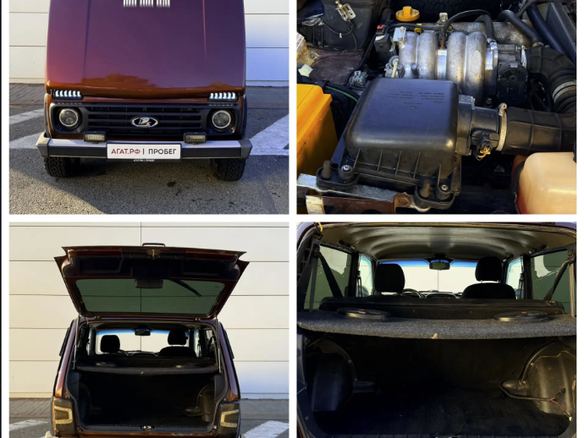 2018 Lada (ВАЗ) 2121 (4x4) I Рестайлинг, коричневый, 670000 рублей - вид 8