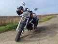 2010 Honda Shadow 750, серый, 525000 рублей - вид 10