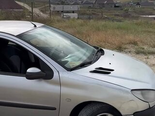 2004 Peugeot 206, серебристый, 190000 рублей, вид 5