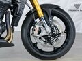 2025 Triumph Speed Triple, жёлтый, 1899000 рублей - вид 10