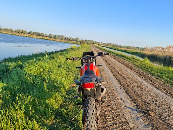 2014 Irbis XR 250, оранжевый, 80000 рублей - вид 4