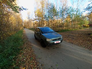 2010 Lada (ВАЗ) Kalina I, серый, 105000 рублей, вид 2