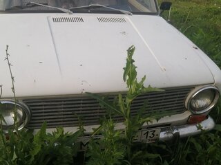 1973 Lada (ВАЗ) 2101, белый, 70000 рублей, вид 1