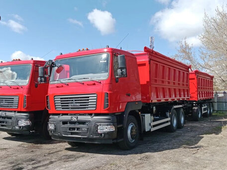 2025 МАЗ 6501, красный, 8920000 рублей, вид 2
