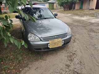 2010 Lada (ВАЗ) Priora I, серый, 280000 рублей, вид 1