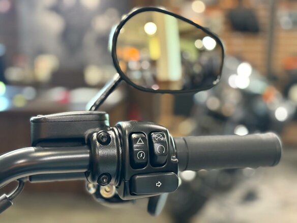 2024 Harley-Davidson Low Rider, серый, 2560000 рублей - вид 13