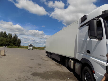 2019 Schmitz Cargobull SKO, белый, 5400000 рублей, вид 5