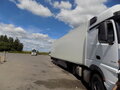 2019 Schmitz Cargobull SKO, белый, 5400000 рублей - вид 4