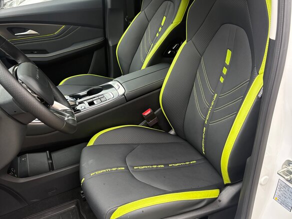 2023 Forthing T5 EVO, белый, 2700000 рублей - вид 13