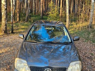 2003 Toyota Corolla IX (E120, E130), серый, 470000 рублей, вид 1