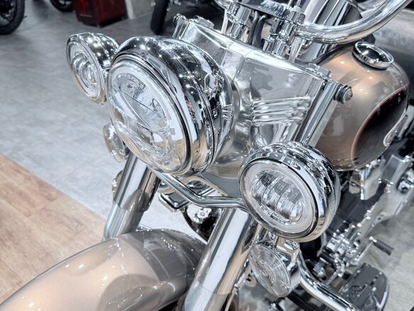 2004 Harley-Davidson Heritage, бежевый, 999000 рублей - вид 18