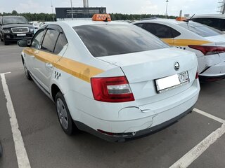 2017 Skoda Octavia III (A7), белый, 640000 рублей, вид 4