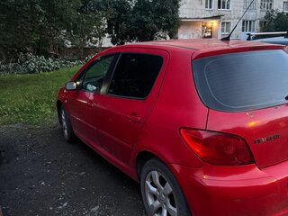 2006 Peugeot 307 I Рестайлинг, красный, 300000 рублей, вид 5